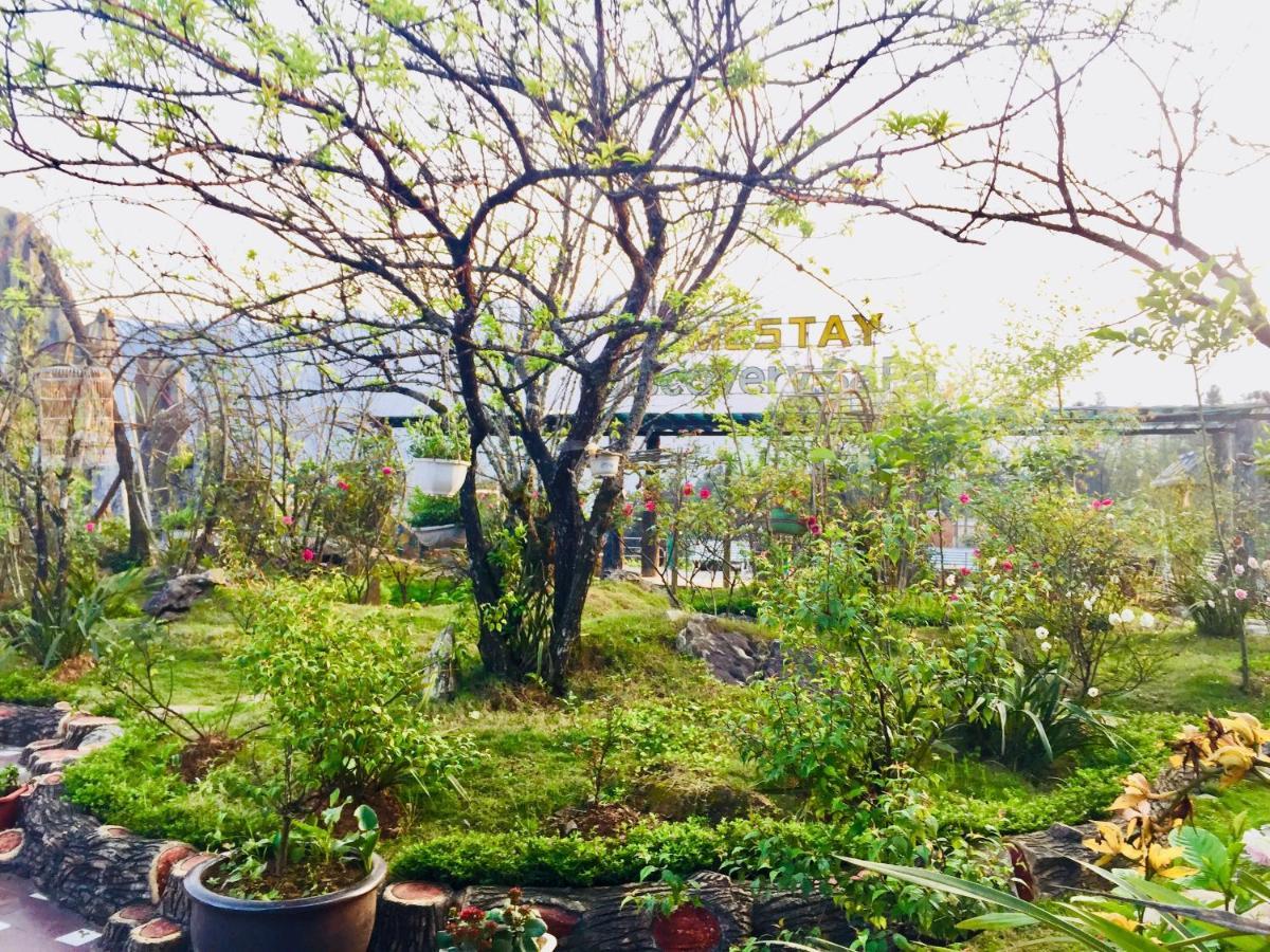 Homestay Discovery Sapa Kültér fotó